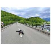 ヒメ日記 2026/02/01 15:02 投稿 はのん バイオレンス