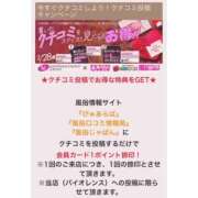 ヒメ日記 2026/02/09 08:25 投稿 はのん バイオレンス