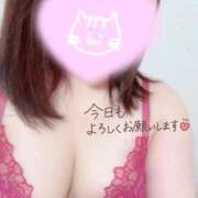 ヒメ日記 2025/11/20 11:28 投稿 めぐ TSUBAKI(ツバキ)松山店