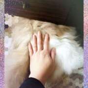 ヒメ日記 2025/10/22 04:51 投稿 らん VIVIDCREWマダムセカンドバージン 梅田店