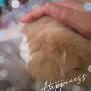 ヒメ日記 2025/10/29 04:08 投稿 らん VIVIDCREWマダムセカンドバージン 梅田店