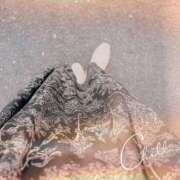 ヒメ日記 2025/10/29 10:22 投稿 らん VIVIDCREWマダムセカンドバージン 梅田店