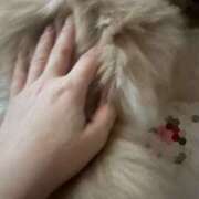 ヒメ日記 2025/10/31 06:12 投稿 らん VIVIDCREWマダムセカンドバージン 梅田店