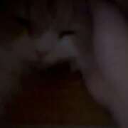 ヒメ日記 2025/11/11 05:37 投稿 らん VIVIDCREWマダムセカンドバージン 梅田店