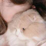 ヒメ日記 2025/11/16 07:27 投稿 らん VIVIDCREWマダムセカンドバージン 梅田店