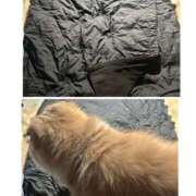 ヒメ日記 2025/11/17 06:11 投稿 らん VIVIDCREWマダムセカンドバージン 梅田店