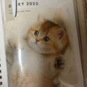 ヒメ日記 2025/11/28 07:09 投稿 らん VIVIDCREWマダムセカンドバージン 梅田店