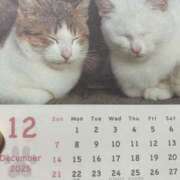 ヒメ日記 2025/12/02 06:06 投稿 らん VIVIDCREWマダムセカンドバージン 梅田店