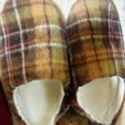 ヒメ日記 2025/12/16 05:14 投稿 らん VIVIDCREWマダムセカンドバージン 梅田店