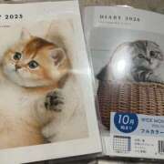 ヒメ日記 2025/12/28 06:42 投稿 らん VIVIDCREWマダムセカンドバージン 梅田店