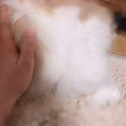 ヒメ日記 2026/01/08 07:02 投稿 らん VIVIDCREWマダムセカンドバージン 梅田店