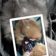 ヒメ日記 2026/01/08 17:41 投稿 らん VIVIDCREWマダムセカンドバージン 梅田店