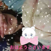 ヒメ日記 2026/01/19 07:14 投稿 らん VIVIDCREWマダムセカンドバージン 梅田店