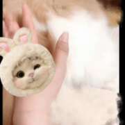 ヒメ日記 2026/01/25 10:23 投稿 らん VIVIDCREWマダムセカンドバージン 梅田店