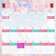 ヒメ日記 2026/02/28 22:19 投稿 らん VIVIDCREWマダムセカンドバージン 梅田店