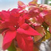 ヒメ日記 2026/03/14 18:03 投稿 らん VIVIDCREWマダムセカンドバージン 梅田店