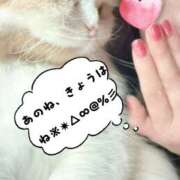 ヒメ日記 2026/03/24 23:43 投稿 らん VIVIDCREWマダムセカンドバージン 梅田店