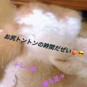 ヒメ日記 2026/04/05 10:56 投稿 らん VIVIDCREWマダムセカンドバージン 梅田店