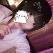 ヒメ日記 2025/11/15 17:15 投稿 ねる あふたーすくーる