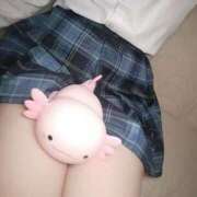 ヒメ日記 2025/11/20 23:15 投稿 ねる あふたーすくーる