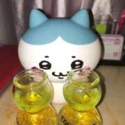 ヒメ日記 2026/06/22 08:19 投稿 ねる あふたーすくーる