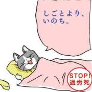 ヒメ日記 2026/06/25 14:13 投稿 ねる あふたーすくーる