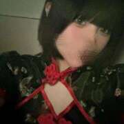 ヒメ日記 2025/10/11 18:50 投稿 なずな ウルトラドリーム