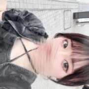 ヒメ日記 2025/10/14 11:39 投稿 なずな ウルトラドリーム