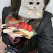 ヒメ日記 2026/03/07 12:20 投稿 みるく 学校帰りの妹に手コキしてもらった件 梅田