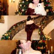 ヒメ日記 2025/12/23 16:39 投稿 利光 珠奈 東京貴楼館