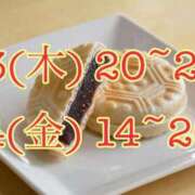 ヒメ日記 2025/11/11 20:30 投稿 もなか 所沢東村山ちゃんこ