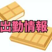ヒメ日記 2026/03/28 10:31 投稿 もなか 所沢東村山ちゃんこ