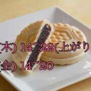 ヒメ日記 2025/11/12 20:30 投稿 もなか 西東京市小平ちゃんこ