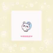 ヒメ日記 2025/10/16 17:19 投稿 モカ 密着手コキ&M性感 横浜エンジェルハンド