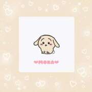 ヒメ日記 2025/11/15 17:07 投稿 モカ 密着手コキ&M性感 横浜エンジェルハンド