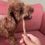 ヒメ日記 2025/10/21 19:12 投稿 日菜田ここ 五十路マダム愛されたい熟女たち 津山店