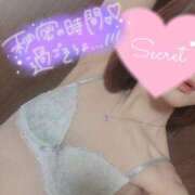 ヒメ日記 2025/12/29 10:32 投稿 三好ゆま セレブ Rex