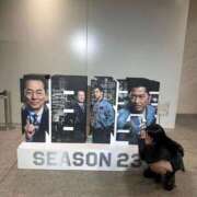 ヒメ日記 2025/11/27 18:34 投稿 ひまり バタフライ立川