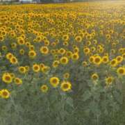 ヒメ日記 2025/10/08 18:09 投稿 佐藤夢乃(さとうゆめの) 九州熟女　熊本店