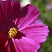 ヒメ日記 2025/10/10 20:39 投稿 佐藤夢乃(さとうゆめの) 九州熟女　熊本店