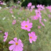 ヒメ日記 2025/10/12 14:19 投稿 佐藤夢乃(さとうゆめの) 九州熟女　熊本店