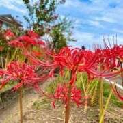 ヒメ日記 2025/10/13 15:19 投稿 佐藤夢乃(さとうゆめの) 九州熟女　熊本店