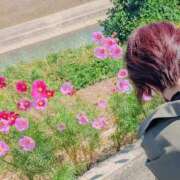 ヒメ日記 2025/11/04 11:45 投稿 百合子★美白綺麗系奧様 BITEKI