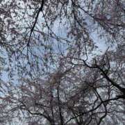 ☆なの☆ ありがと💞 ◆プラウディア◆AAA級素人娘在籍店