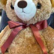 ヒメ日記 2026/01/27 10:29 投稿 える ZERO