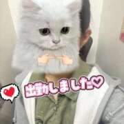 ヒメ日記 2025/10/16 12:59 投稿 ゆみな オナクラ大人女子