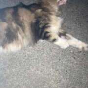 ヒメ日記 2025/10/16 08:32 投稿 みのり 前立腺マッサージ専門 もぐらのM性感 池袋店