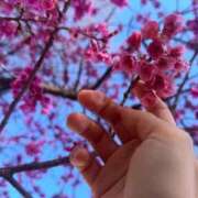 ヒメ日記 2026/03/12 08:42 投稿 みのり 前立腺マッサージ専門 もぐらのM性感