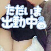 ヒメ日記 2025/11/09 09:34 投稿 ちか 川崎・東横人妻城