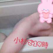 ヒメ日記 2025/12/12 07:17 投稿 ちか 川崎・東横人妻城